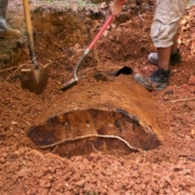 Oil Tank Sweeps
