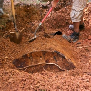 Oil Tank Sweeps