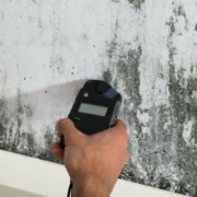 Mold Testing